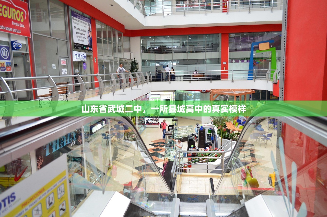 山东省武城二中,一所县城高中的真实模样 山东省武城二中,一所县城高中的真实模样