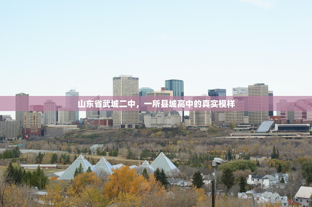 山东省武城二中,一所县城高中的真实模样 山东省武城二中,一所县城高中的真实模样