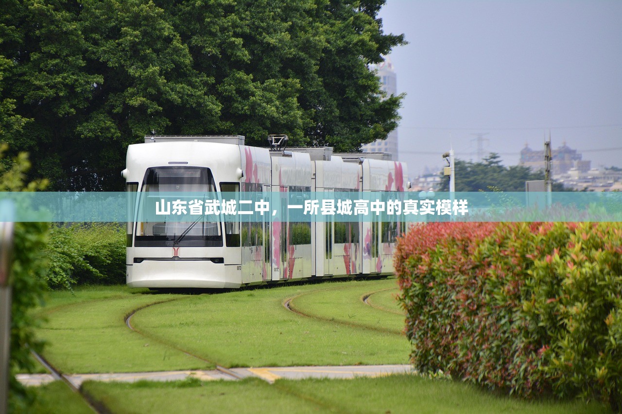 山东省武城二中,一所县城高中的真实模样 山东省武城二中,一所县城高中的真实模样