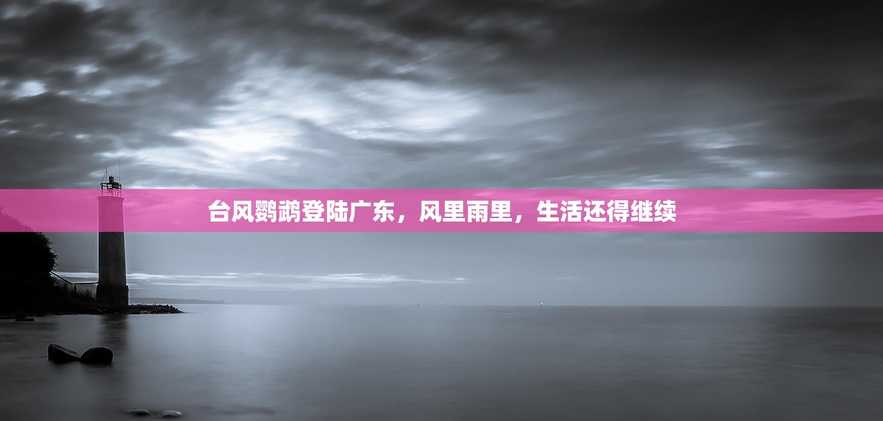 台风鹦鹉登陆广东，风里雨里，生活还得继续