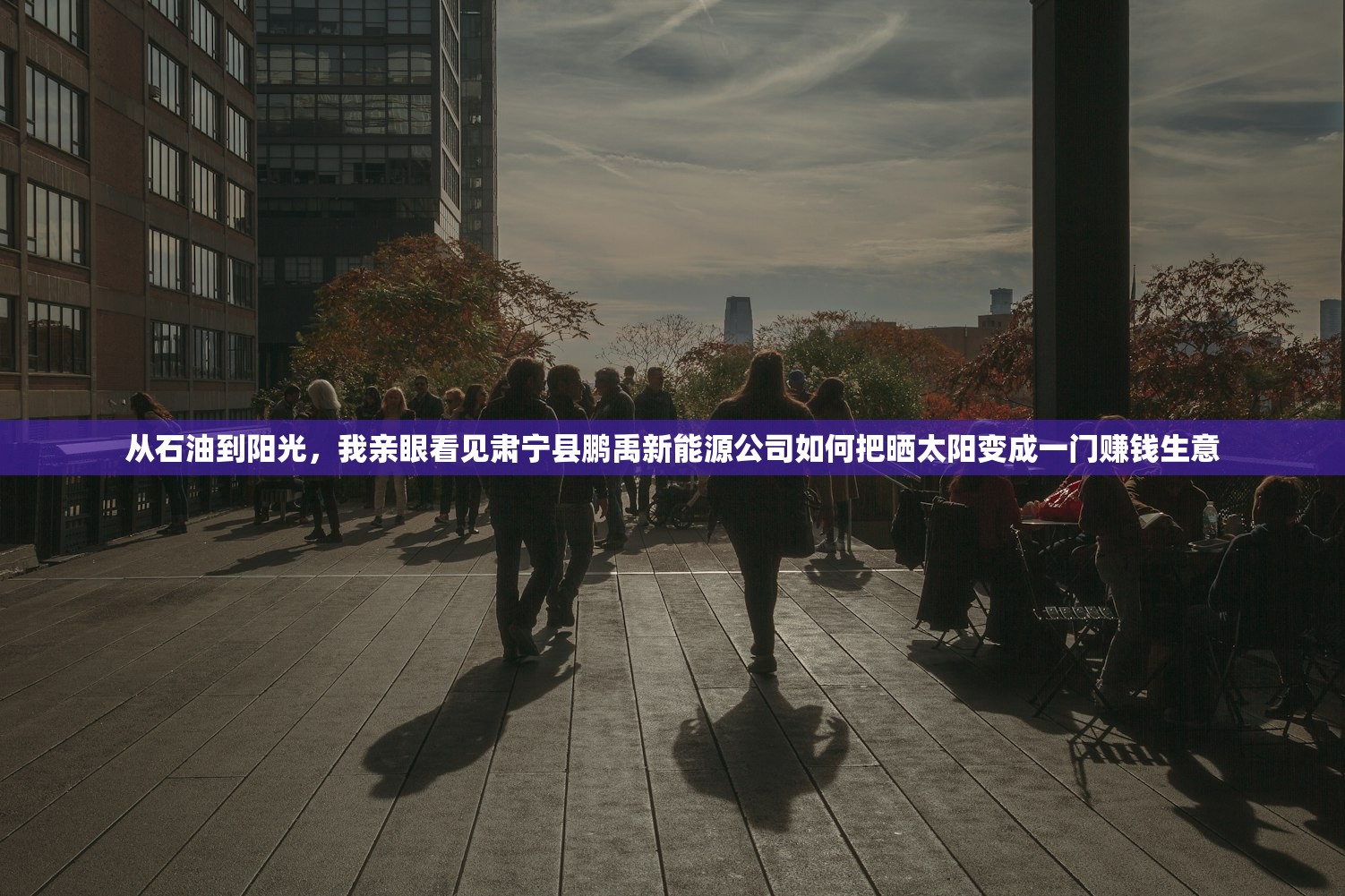 从石油到阳光,我亲眼看见肃宁县鹏禹新能源公司如何把晒太阳变成一门赚钱生意 从石油到阳光,我亲眼看见肃宁县鹏禹新能源公司如何把晒太阳变成一门赚钱生意